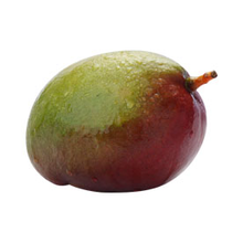 fruitsoort Mango