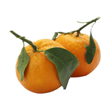 fruitsoort Clementine